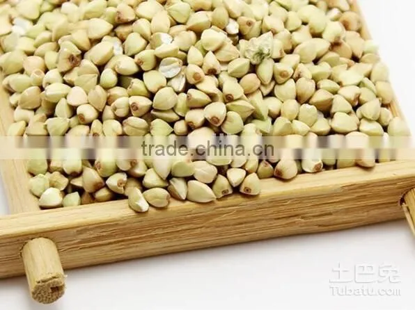 BB High Quality Raw Sweet Buckwheat Price photo-4