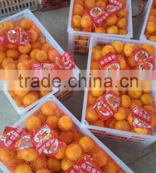 Chinese Fresh Orange Cheap Selling photo-2
