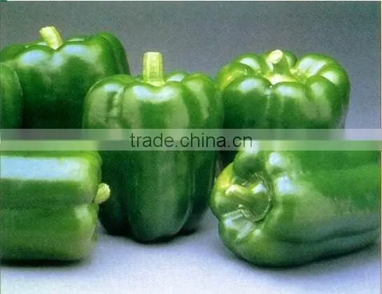 Color Pepper ( GREEN - YELLOW - RED ) photo-5