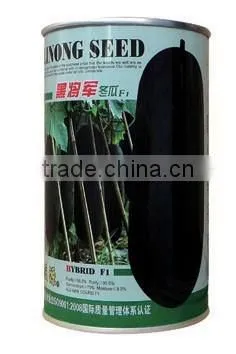 Black and Big Wax Gourd Good Vegetable Seeds for Open Field