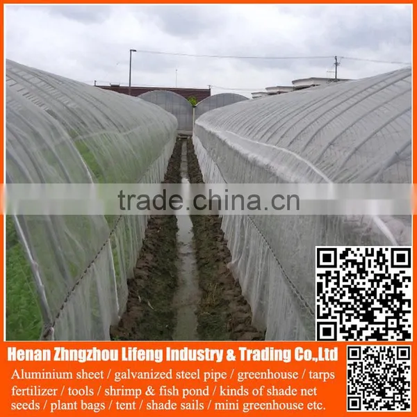 China Manufacture Hdpe With uv Greenhouse Insect Net , Plastic Agriculture pe Anti-insect Net , Nylon Insect Net With Low Price photo-3