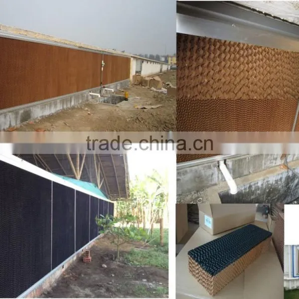 Broiler Poultry Farm Equipment photo-4