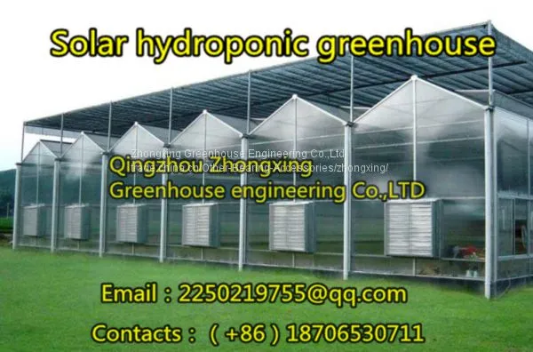 Grass Greenhouse, We Are Professional！ photo-5