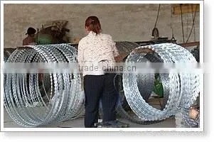 China Factory Razor Wire, Razor Wire Fencing, Razor Barbed Wire photo-5