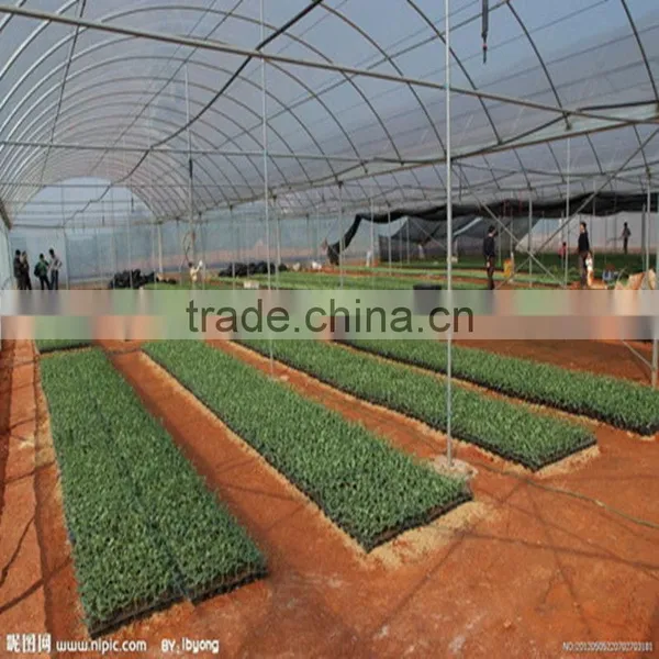 High Quality Roof Shade HDPE Plastic Mesh Agriculture Net photo-2