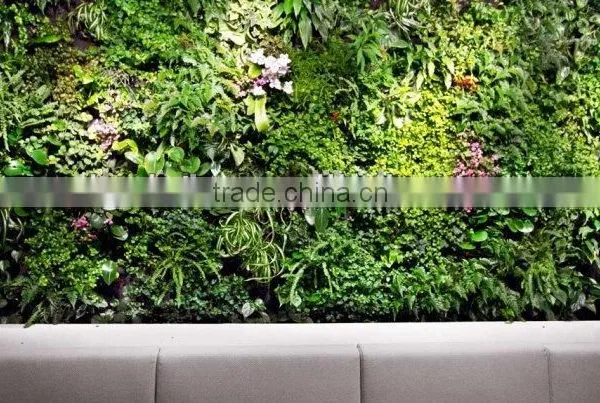 Anti uv Hotsale Home Decor Fake Green Wall for Indoor and Outdoor Decor photo-2