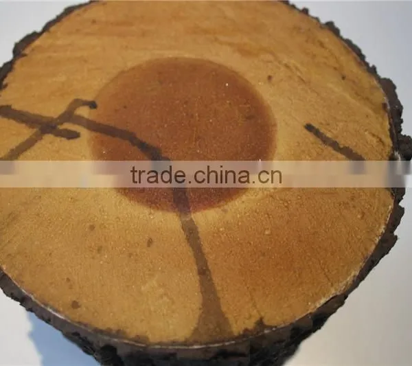 Artificial Tree Stump Artificial Stumps Fake Stock photo-3