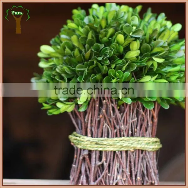 Preserved Boxwood Bundle photo-3