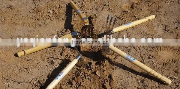 Garden Tool--Stainless Steel Hoe With Solid Wood Handle photo-4