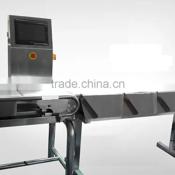 Hot Sale Stainless Steel Check Weigher photo-6
