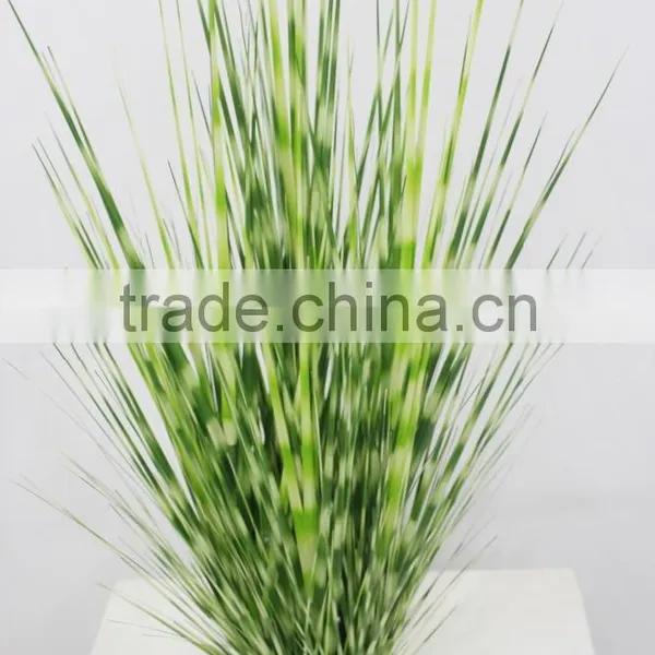 Wholesale Artificial Plants Zebra Onion Grass in Pot photo-5