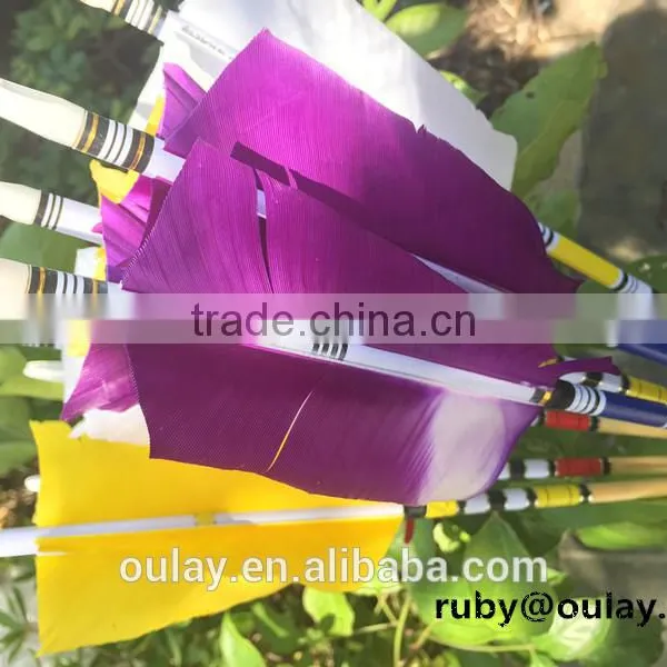 4*14cm Flu Flu Fletching Cresting Wood Arrows photo-3