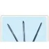 Round Nail