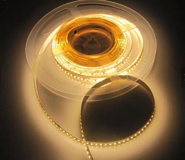 SMD 3014 Single Color Led Flexible Strip 24W Led Light Strip For Swimming Pool Led Strip Lighting