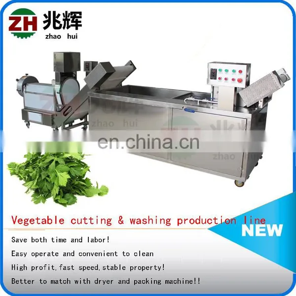 Commercial Hotbed Chives Celery Spinach Vegetable Washing Machine Leafy Vegetable Washer photo-4