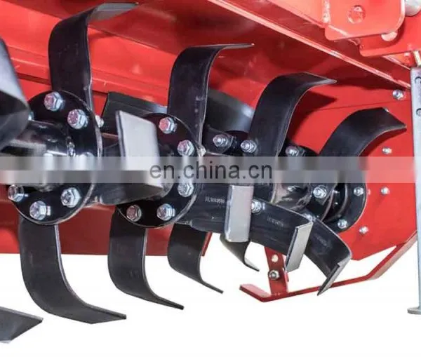 Italy Small Farm Tractor Mounted Mini Agric 3 Point PTO Rotary Tiller for Sale photo-6