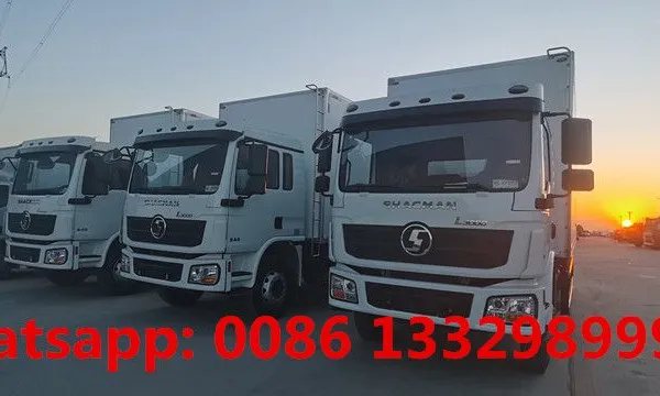 Factory Sale Best Price Euro 5 Diesel 10T-15T Refrigerated Truck Fidge Truck for Philippines for Sale photo-4