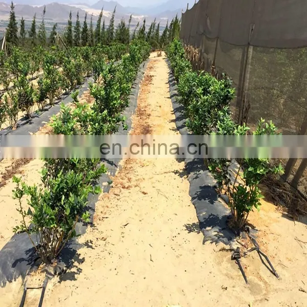 Wholesale Weed Matweed Mat Ground Cover Anti Grass Mat photo-2