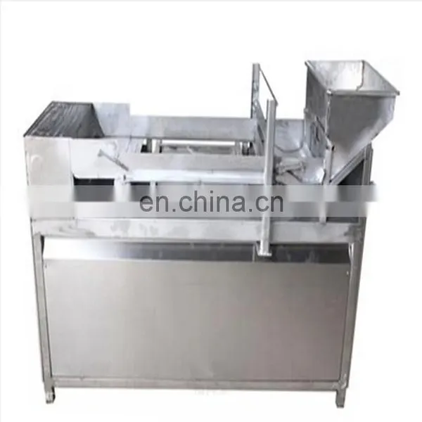 Dry Fruit Leather Processing Plant