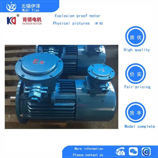 YFBX3 Dust Explosion-proof Motor photo-5