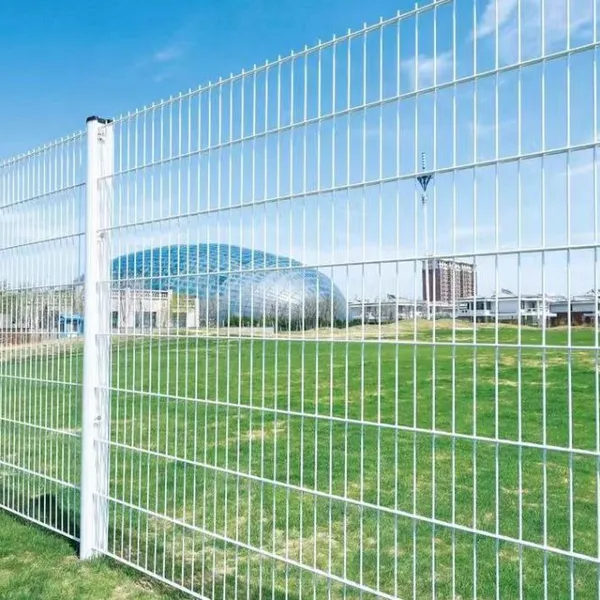 Double Wire Mesh Fence With 50mm x 200mm Mesh Size for High Security photo-3