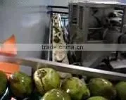 Coconut Cutting Machine photo-2