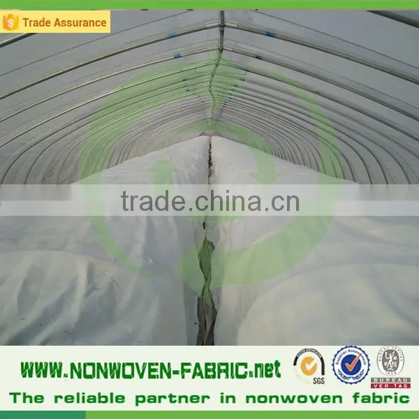 Agriculture Nonwoven Fabric Wholesale/UV Resistant PP Nonwoven photo-2