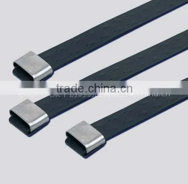 PVC Sprayed Stainless Steel Cable Tie (BZ-L Series) 4.6*300 photo-5