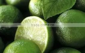 CHEAPER PRICE VIETNAM FRESH LIME photo-2