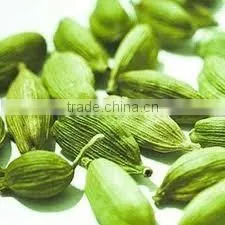 Cardamom Oil Extracted From Elettaria Cardomomum photo-5