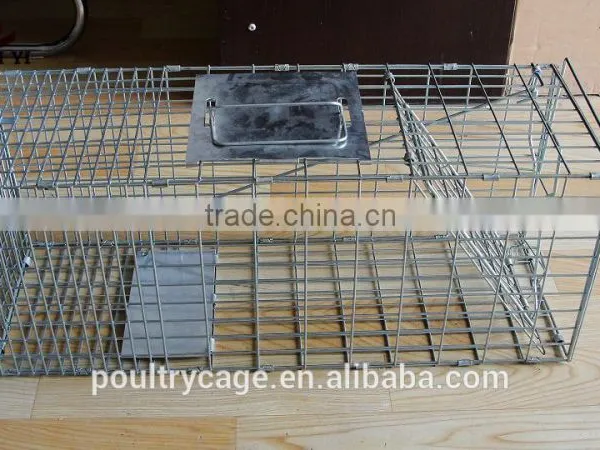 Large Live Animal Cage Traps For Sale Cheap photo-6