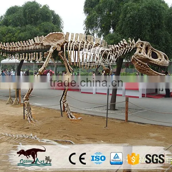 OA4079 High Quality Dinosaur Fossils for Sale