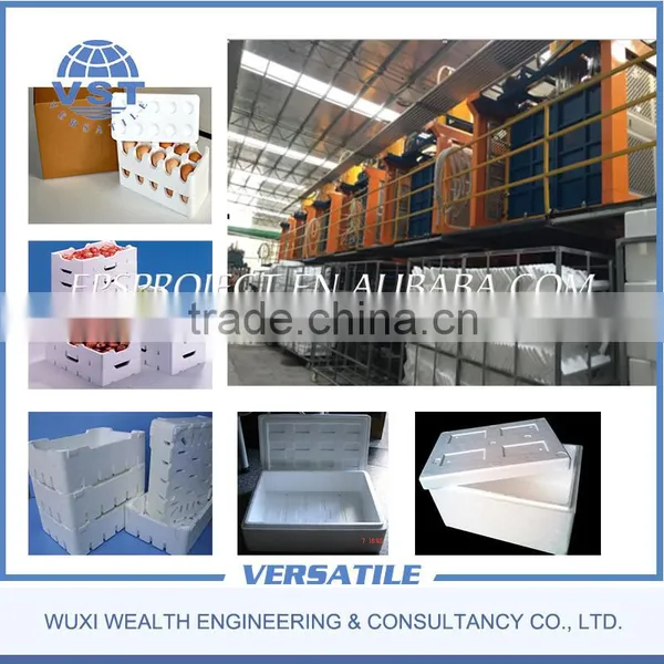 Sale Vacuum EPS Shape Forming Machine photo-5