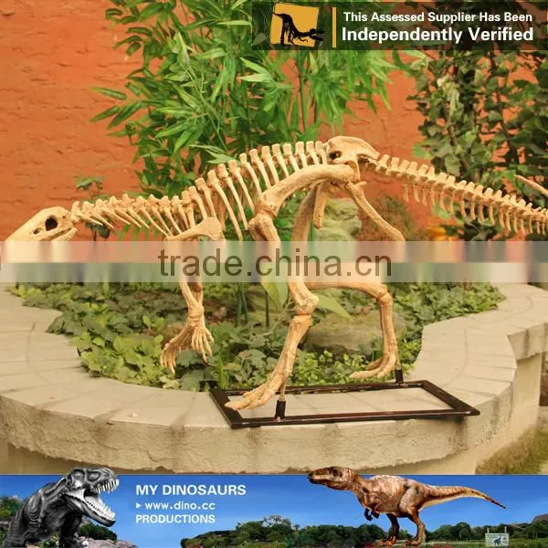 MY Dino-C075 Small Fake Skeletons for Home Decoration photo-6