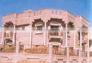 Decorative Elevation