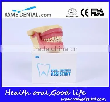 NISSIN Anesthesia Extraction Model School Teaching Demonstration photo-5