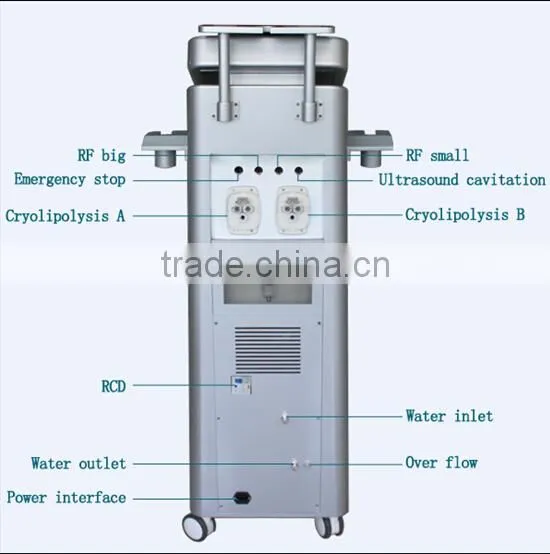 Vertical Distributors Wanted Cryolipolysis Vacuum Body Slimming Slimming Machine With CE Approved photo-3