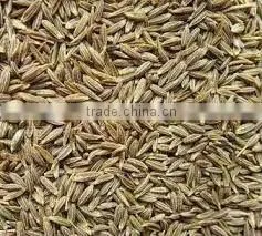 Cumin Seeds