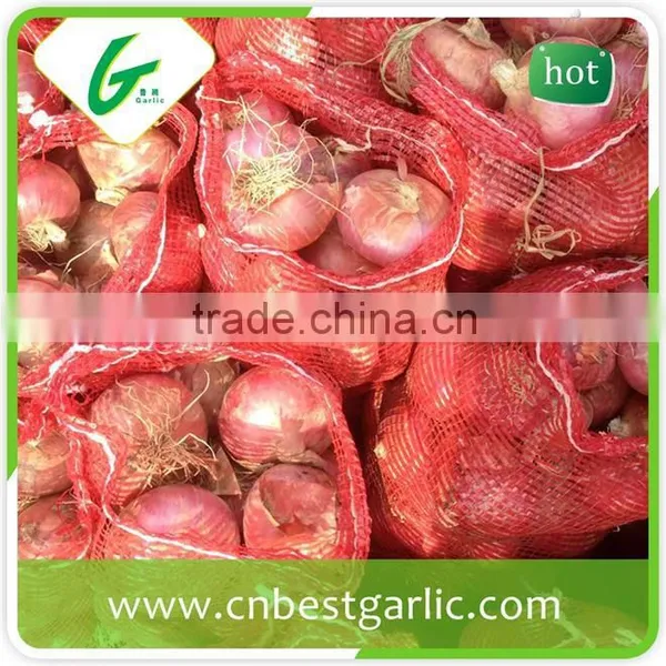 China Cheap Onion Price photo-5