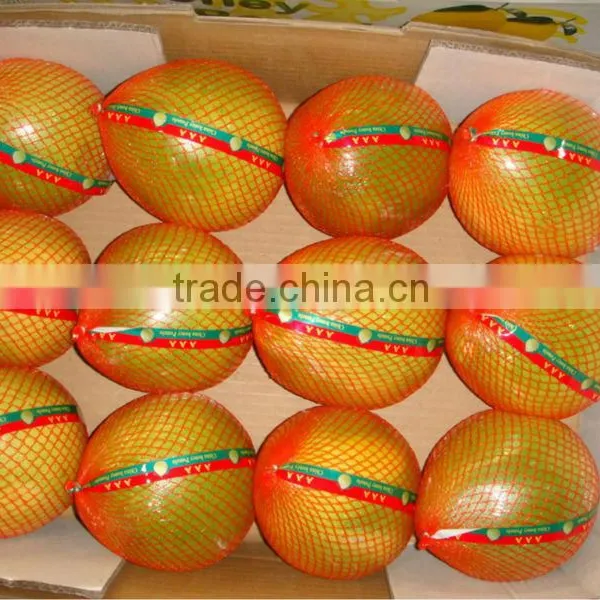 Pomelo From China photo-4