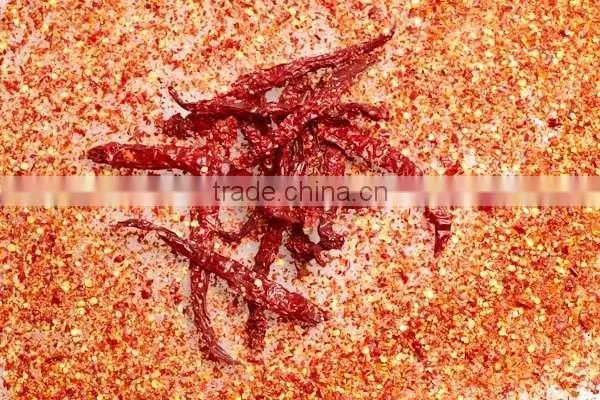 S17 / Teja Chilli photo-5