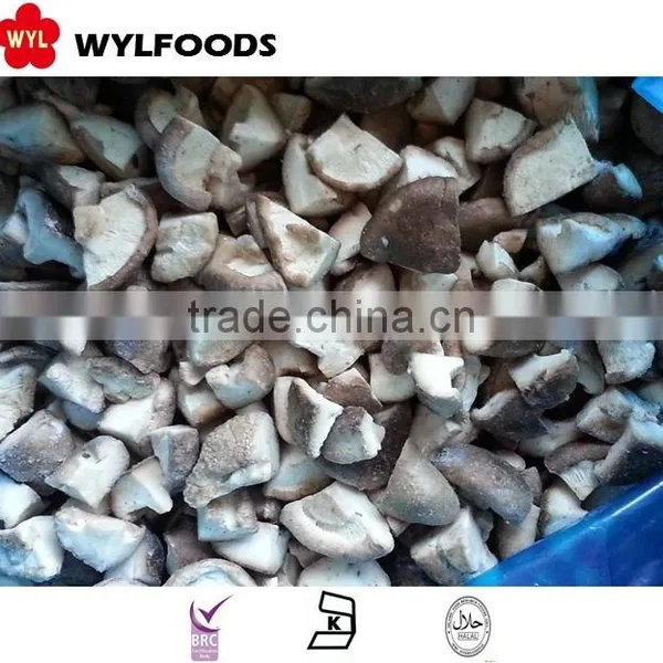 Shitakee Mushroom Iqf With Good Quality photo-4