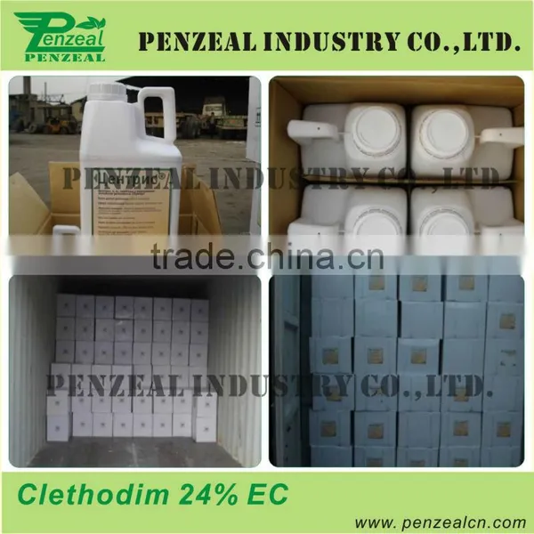 Clethodim 24%EC, 12% EC, 90%Tech, Herbicide 99129-21-2