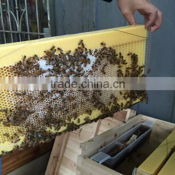 Honey Flow Beehive Frame/plastic Beehive Frame photo-5