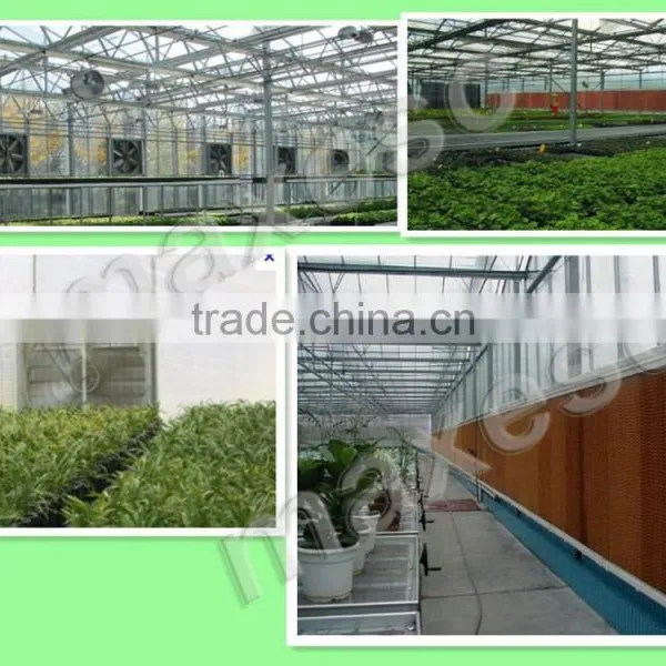 Outdoor Green House Fan Poultry Farm Fan photo-2
