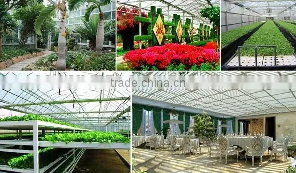 Clear Polycarbonate Sheet With Foldable Shading Net Greenhouse For Vegetables photo-4