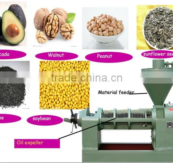 Factory Price Almond Oil Making Machine/almond Oil Expeller photo-2