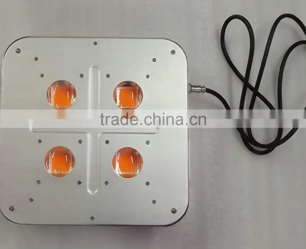 300w Led Grow Light Full Spectrum,300w Led Hydroponic Grow Light for Greenhouse photo-5