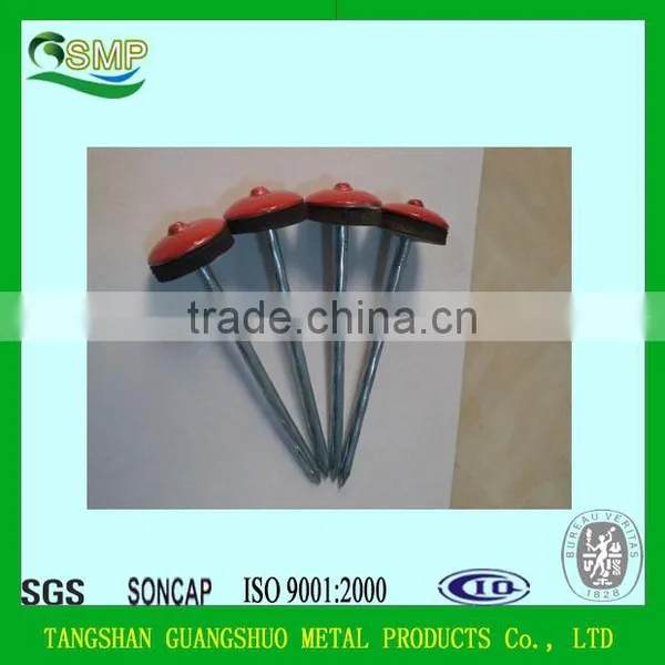 Umbrella Head Roofing Nail/Galvanized Roofing Nails With Washer photo-5