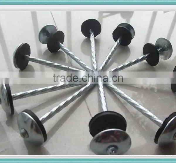 Turkey Market Galvanzied ROOFING NAILS BWG9X2.5" photo-4